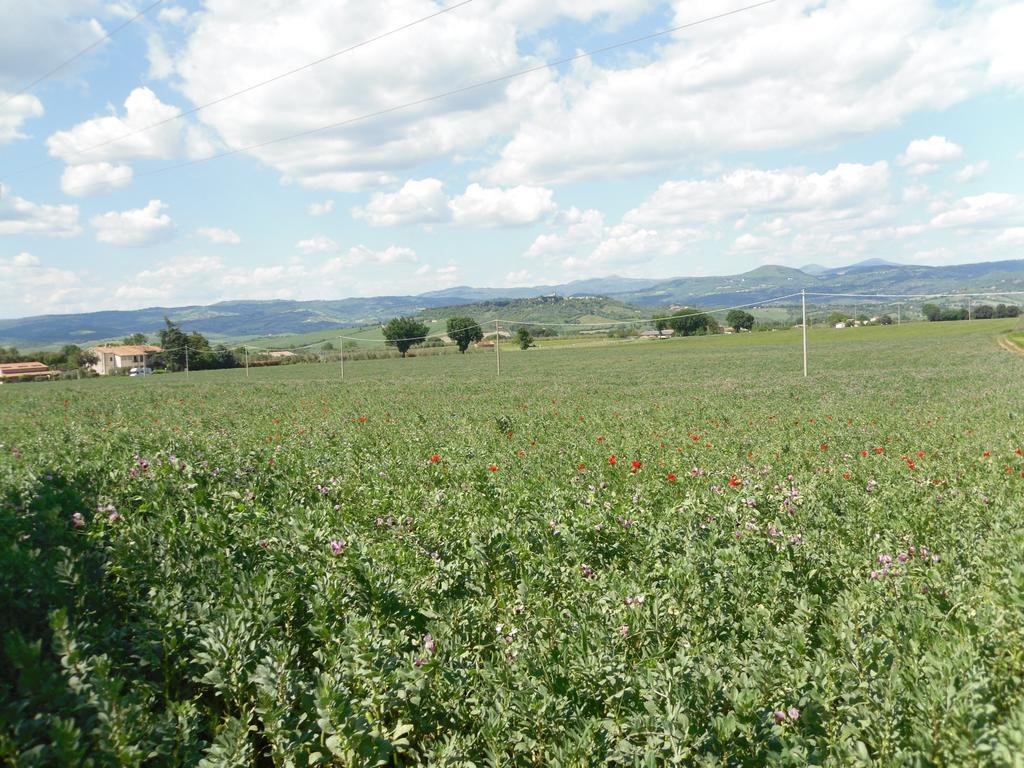 Agriturismo Il Giardino Сатурния Экстерьер фото